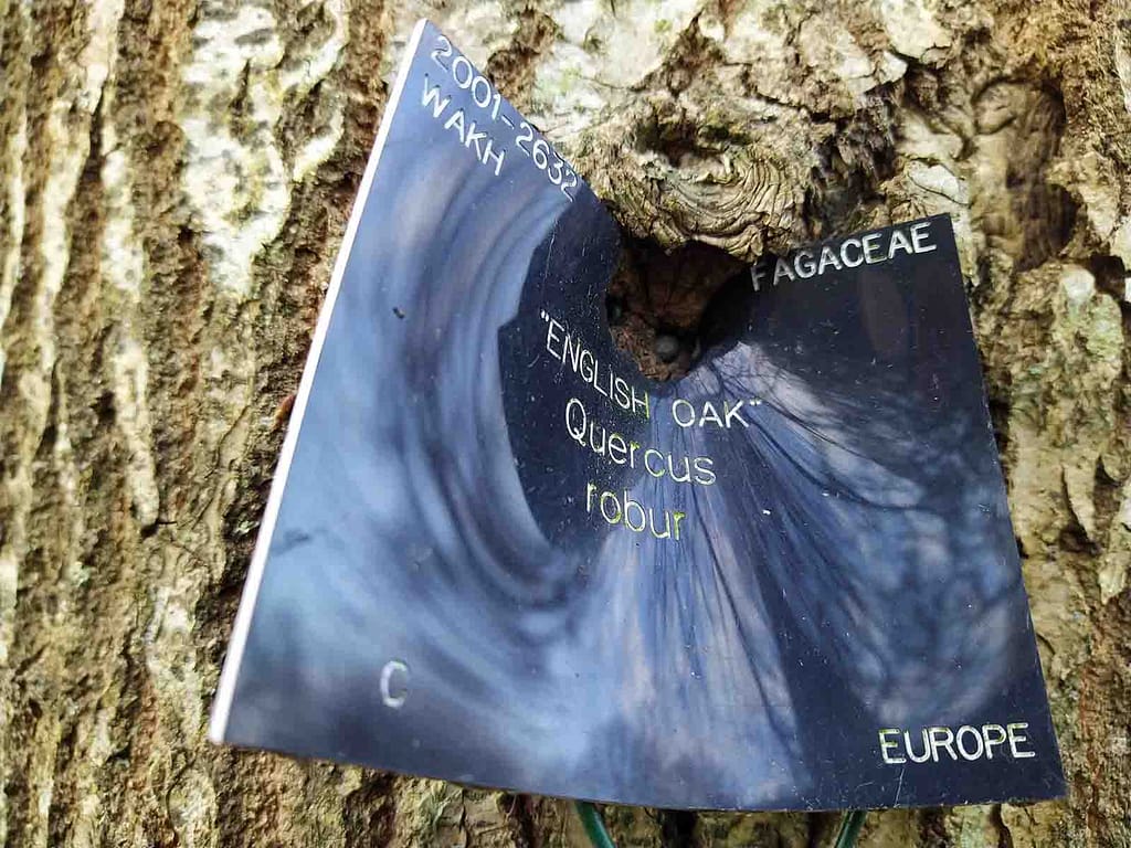 Label being sucked into the tree