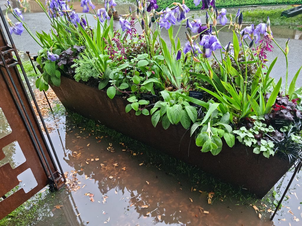 RHS Chelsea Flower Show Hardy Labels stand flood