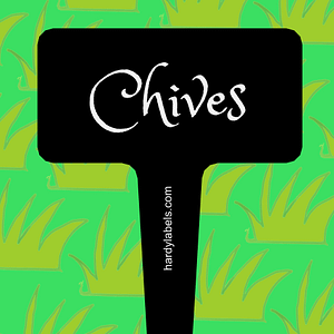 This shows the black and white label with Chives written in the Princess Sofia font