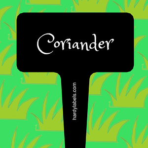 This shows the black and white label with Coriander written in the Princess Sofia font