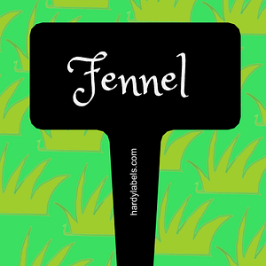 This shows the black and white label with Fennel written in the Princess Sofia font