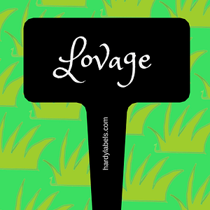 This shows the black and white label with Lovage written in the Princess Sofia font