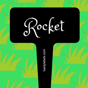 This shows the black and white label with Rocket written in the Princess Sofia font