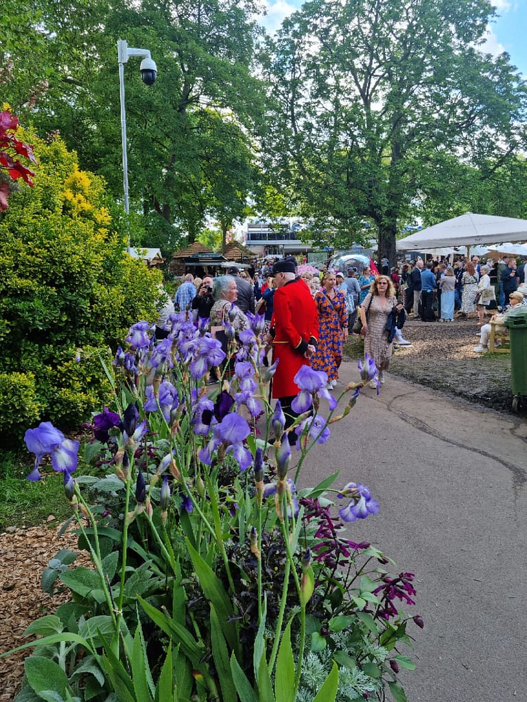 RHS Chelsea Flower Show Iris with Chelsea Pensioner