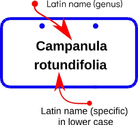 How to write a plant name on a label