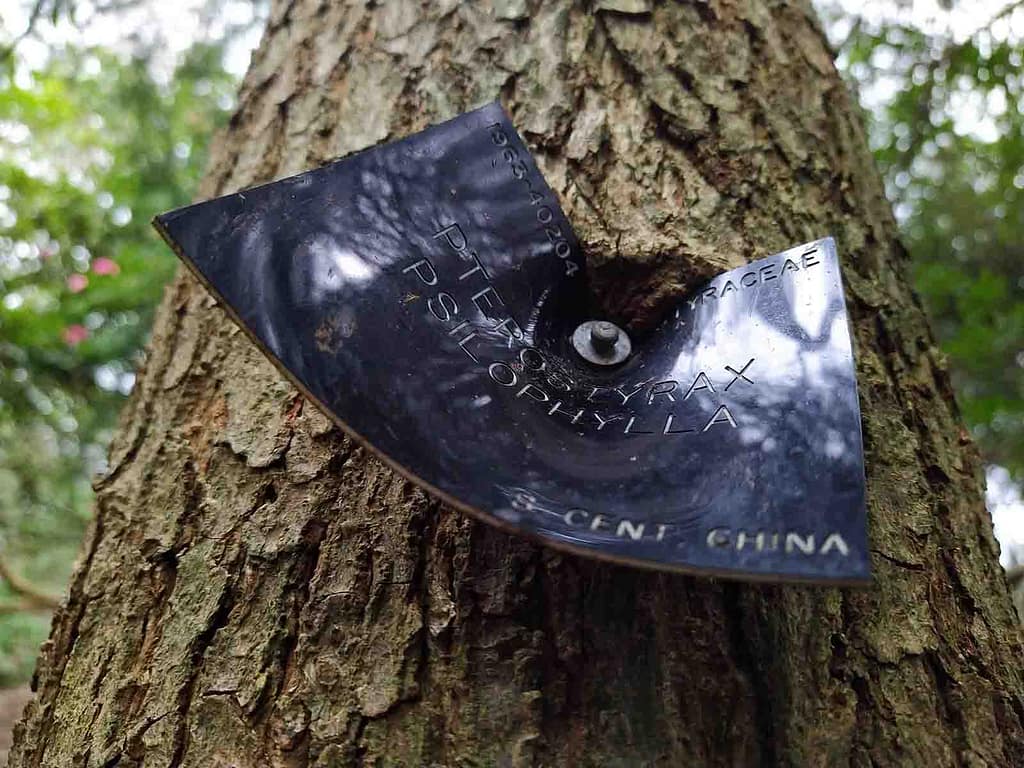 Label with a pronounced bend