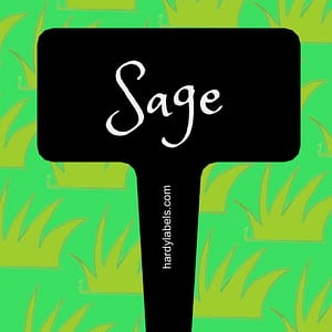 This shows the black and white label with Sage written in the Princess Sofia font