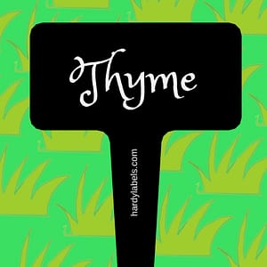 This shows the black and white label with Thyme written in the Princess Sofia font