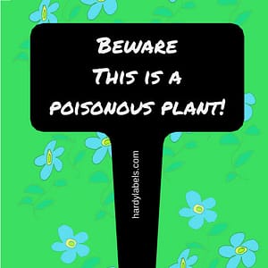Engraved garden label for your garden – Beware this is a poisonous plant!