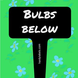 Engraved garden label for your garden – Bulbs below
