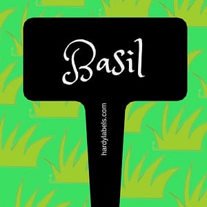 Engraved garden label for your herb bed – Basil