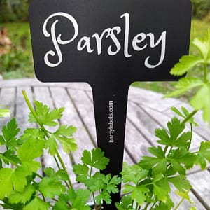 Parsley label in a pot