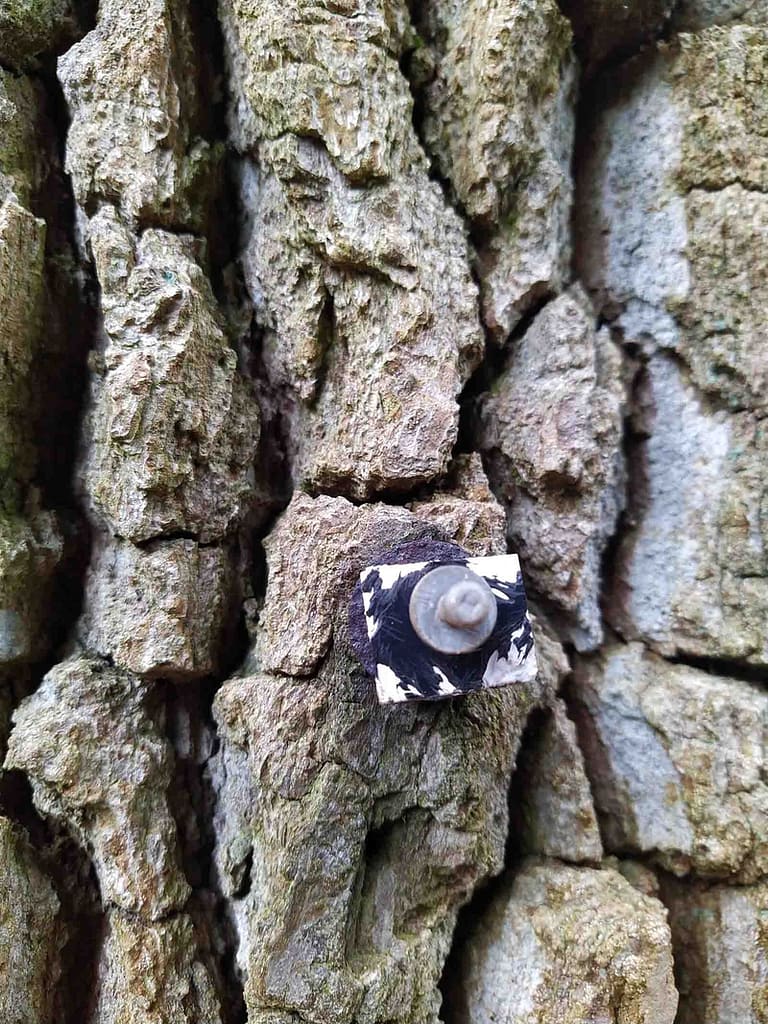Destroyed label