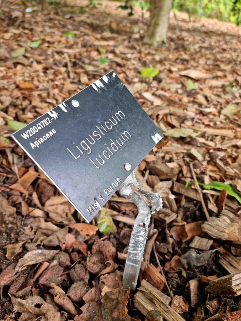 Label stem destroyed